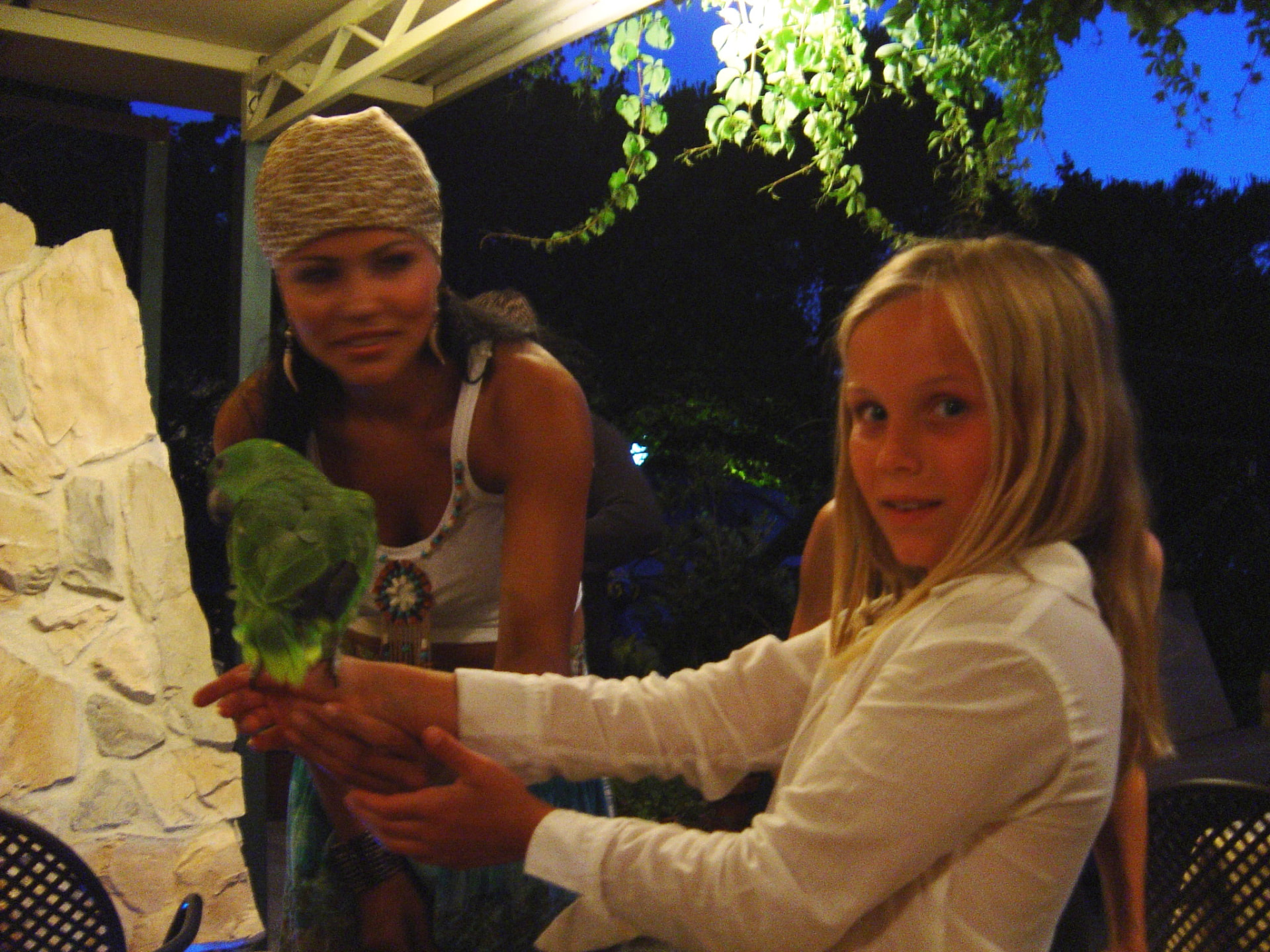 1 juli · bild 8